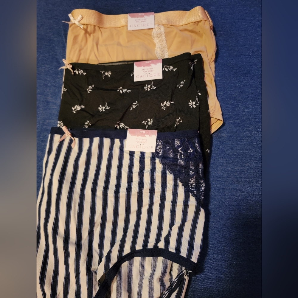 NWT Lot 3 Cacique Lane Bryant 18/20 No Show Brief